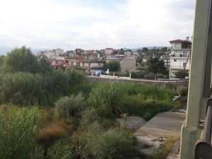 krousovitis