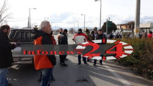 agrotes1
