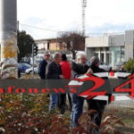 agrotes2