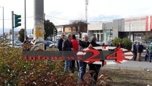 agrotes2