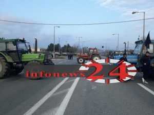 agrotes3