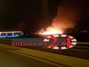 fotia8