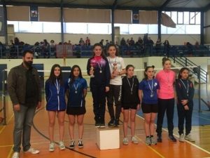 badmington5