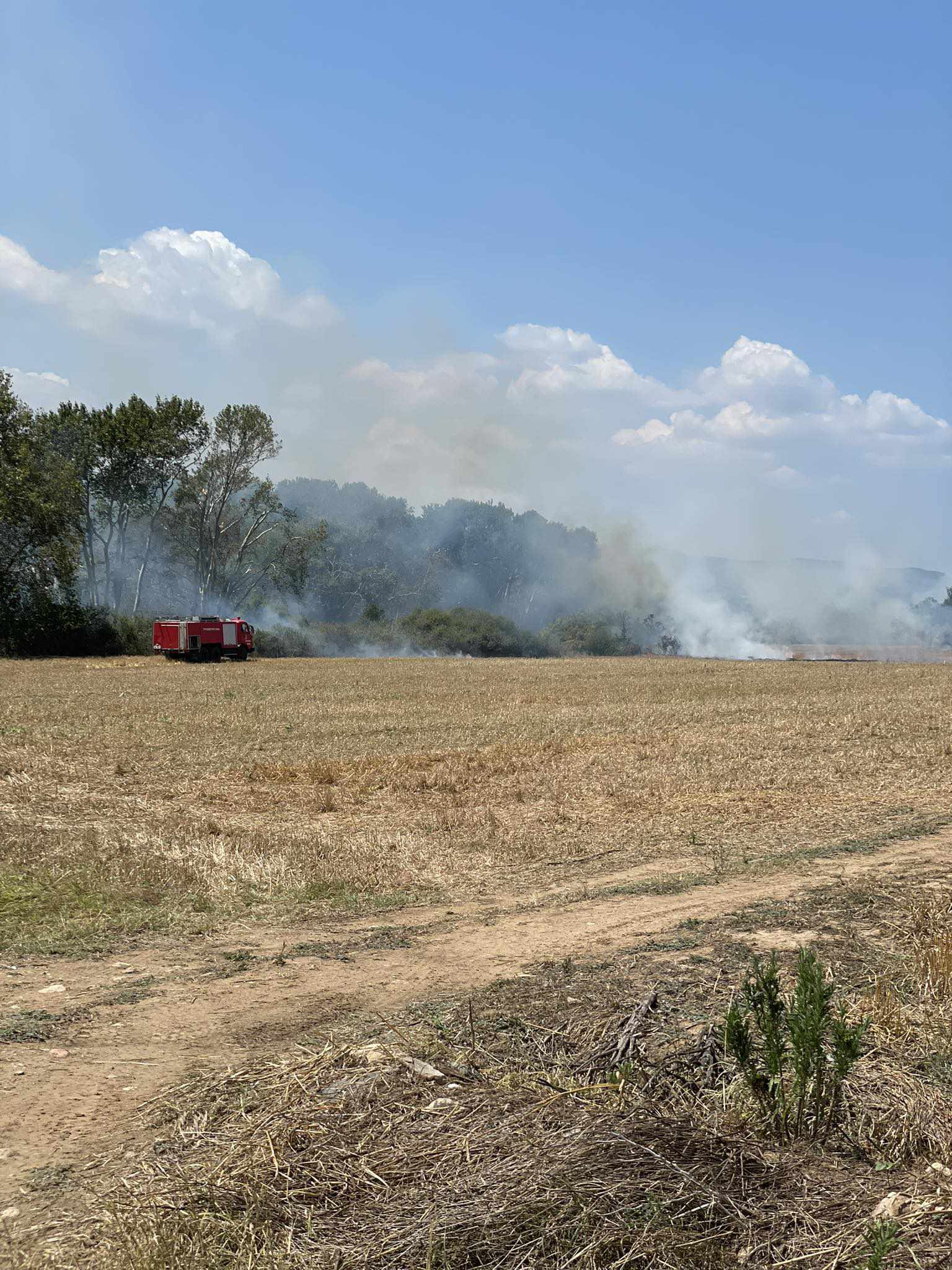 Βισαλτία: Προκλήθηκε φωτιά από δοκιμαστικό του ΔΕΔΔΗΕ για την ηλεκτροδότηση  – InfoNews24